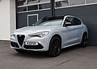 Alfa Romeo Stelvio 2.0/ABSTANDSTEMP/KAMERA/PDC/SPUR/BTH/R20