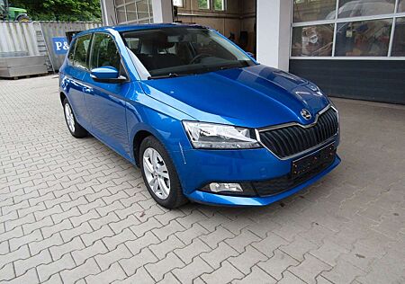 Skoda Fabia Ambition Automatik Sauber und Gepflegt