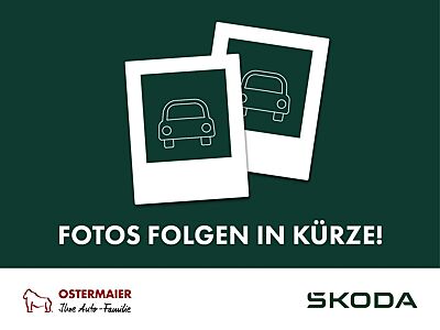 Skoda Fabia Balance 1.0 TSI DSG WINTER.KAM.Lenkr-HZG.AHK.KESSY