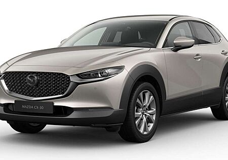 Mazda CX-30 2.5L e-SKYACTIV G140 Exclusive-Line *Bose,360°,Mat