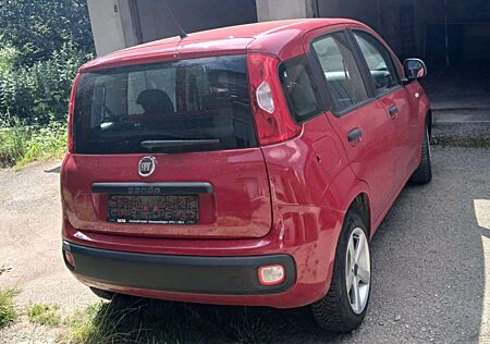 Fiat Panda 1.2 Pop