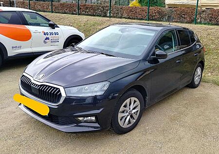 Skoda Fabia 1.0 TSI DSG Selection
