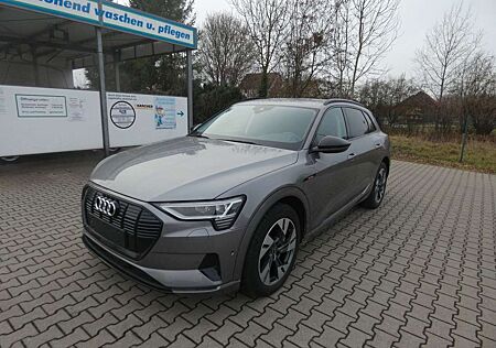 Audi e-tron 50 quattro advanced Aut. LED Navi AHK WP