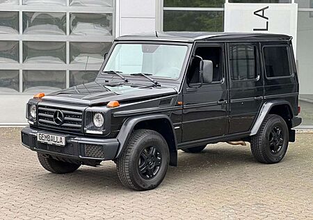 Mercedes-Benz G 350 D PROFESSIONAL, STANDHEIZUNG, AHK, BRD