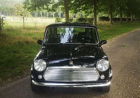 Mini 1000