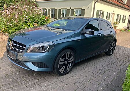 Mercedes-Benz A 250 A -Klasse 4Matic,Standhei,Navi,Panno