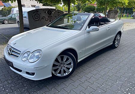 Mercedes-Benz CLK 350 CLK Cabrio 350 7G-TRONIC Avant. 19% auswb.