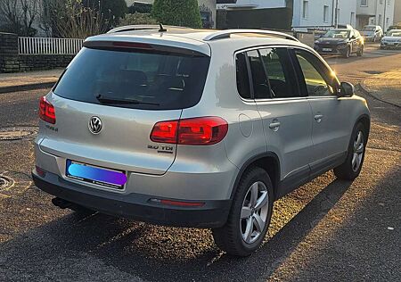 VW Tiguan Volkswagen 2.0 TDI DPF 4Motion Cup Track