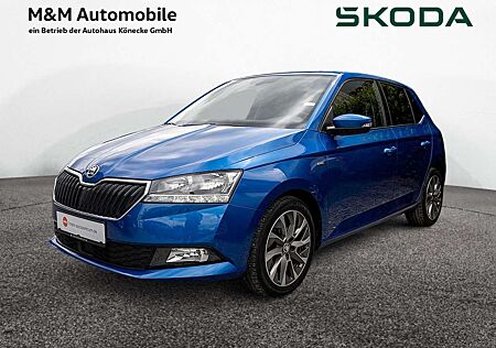 Skoda Fabia 1.0 TSI Clever KLIMA ACC PDC FSE SHZ
