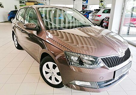 Skoda Fabia Ambition 75PS Sitzhg/Parks/NSW/TOP