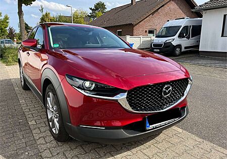 Mazda CX-30 e-SKYACTIV-G 2.0 M HYBRID 150 AWD DRIVE SELECTION