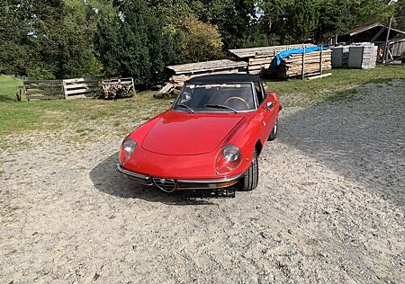 Alfa Romeo Spider Fastback