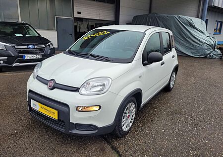 Fiat Panda Base Hybrid 1,0 (sehr gepflegt, 12Monate Garantie)