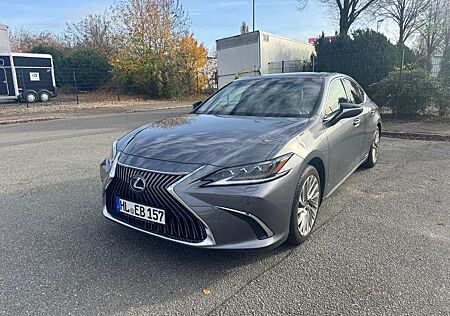 Lexus ES 300 300 h