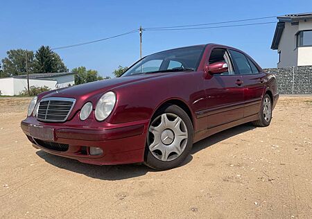 Mercedes-Benz E 320 CDI Leder+Sihz+TÜV 08/2026+AHK+Temp+Klima