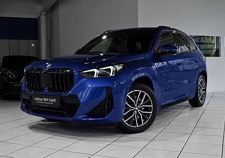 BMW X1 M Sport *Driving Ass. Plus* Memory*
