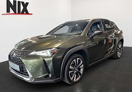 Lexus UX 250h 2.0 Hybrid Style Edition LED SHZ KAMERA