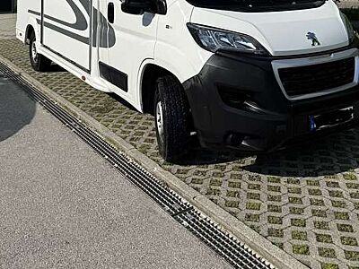 Peugeot Boxer Pferdetransporter 3,5 T