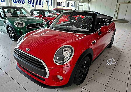 Mini One Cabrio Sport-Ledersitze Sitzheizung PDC