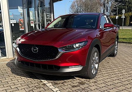 Mazda CX-30 2.5 Exclusive-Line *Matrix-LED*BOSE*360°*
