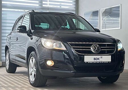 VW Tiguan Volkswagen Freestyle Panorama AHK 8fach bereift