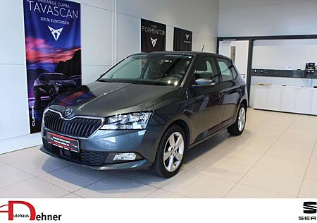 Skoda Fabia 1.0 TSI Style OPF CLIMATRONIC/KESSY/R-KAME Klima