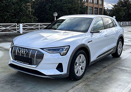 Audi e-tron 55 quattro advanced NP: 119T¤