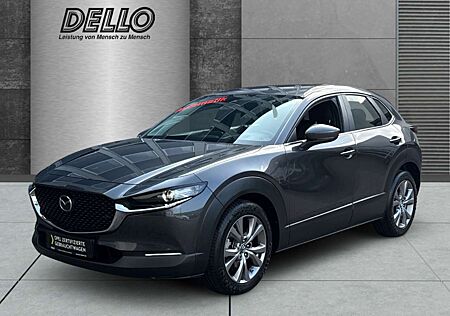 Mazda CX-30 Selection 2WD 2.0 PDC+Kamera Navi CarPlay LED Sitz