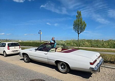 Buick Le Sabre