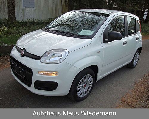 Fiat New Panda 1.2 8V EASY - 1.Hd./orig. erst 22 TKM