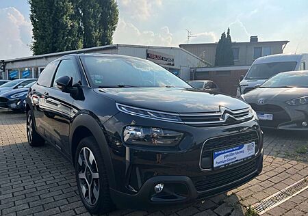 Citroën C4 Citroen Cactus Shine Panoramadach