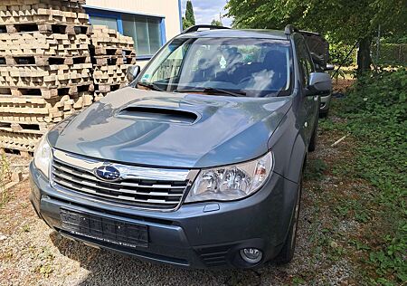 Subaru Forester Comfort