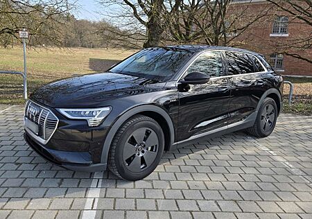Audi e-tron 55, AirSus, Kamera, Getönt, LED