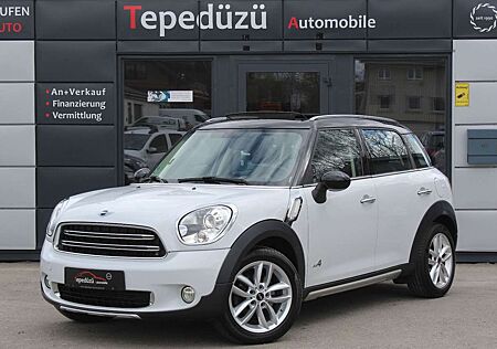 Mini Cooper D Countryman All4*XENON*PANO*LEDER*NAVI*