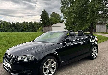 Audi Cabriolet A3 Ambition 1.6 liter