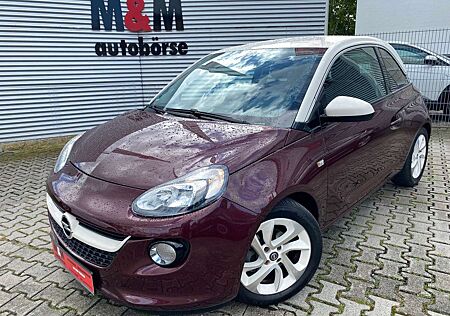 Opel Adam Jam Allwetter/PDC/Shz/Lenkradhz/Tempo/USB
