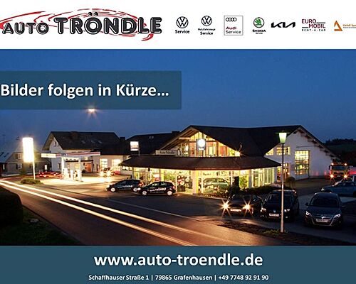 Skoda Citigo E iV Style +Frontscheibenheizung +SHZ