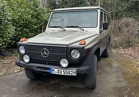 Mercedes-Benz G 250 GD