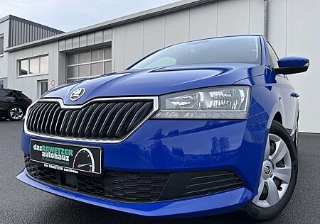 Skoda Fabia 1.0 TSI Ambition 100€ m. 20% Anzahlung DAB SHZ P