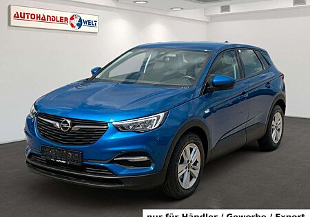Opel Grandland X 1.5D Edition LED Navi PDC Kamera DAB