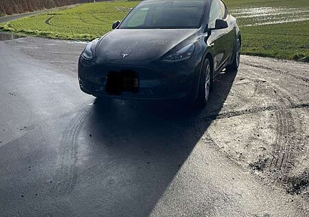 Tesla Model Y RWD