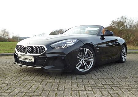 BMW Z4 M Z4 sDrive30i