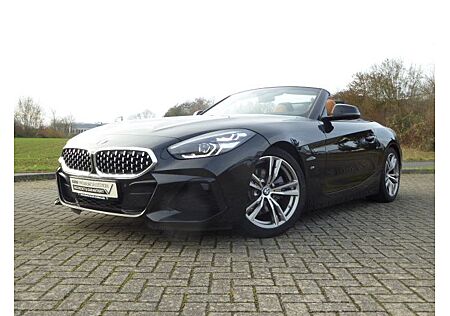 BMW Z4 M Z4 sDrive30i