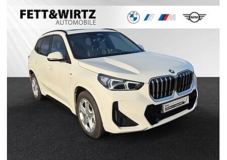 BMW X1 xDrive23i