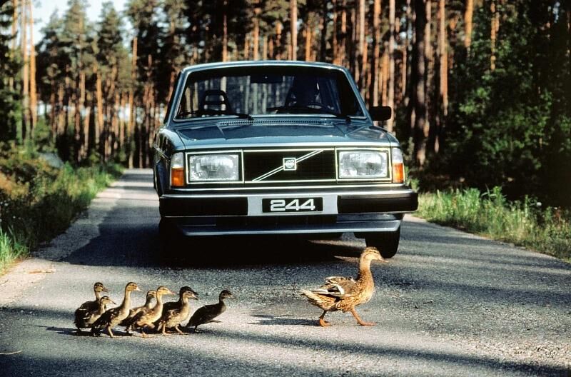 Volvo 244 GL 1980