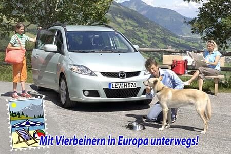 Vierbeiner brauchen auf Reisen einen Pass