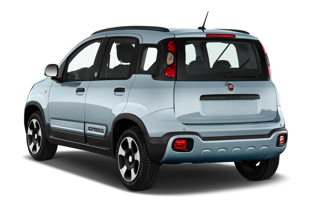 FIAT Panda (Baujahr 2020) Cross 5 Türen seitlich hinten