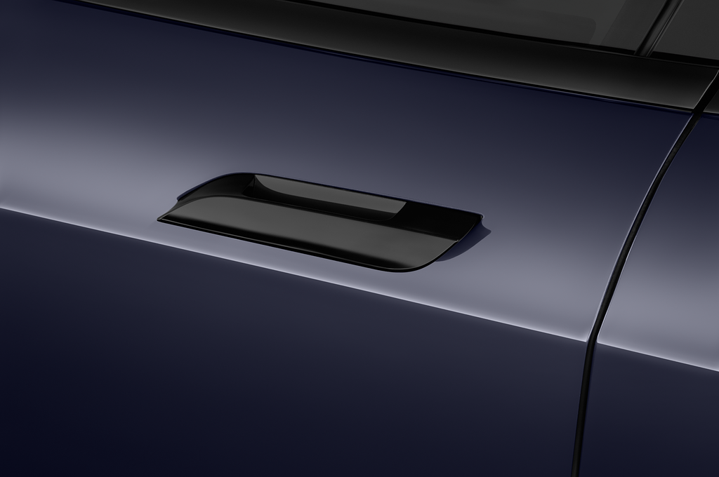 Tesla Model S (Baujahr 2021) Plaid 5 Türen Türgriff