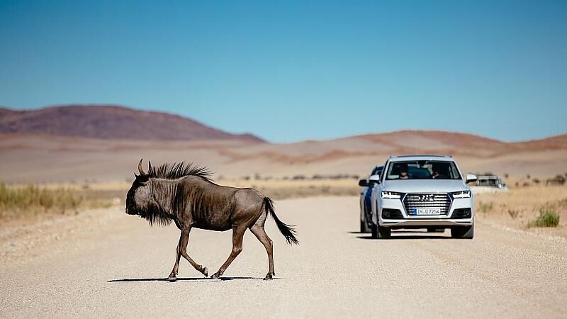 Audi Q7 2015