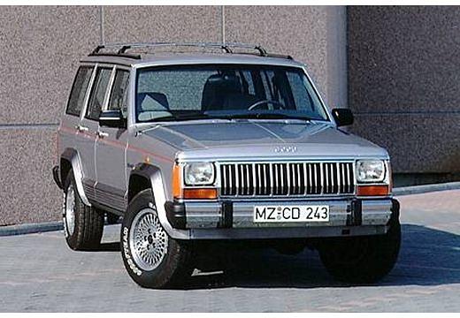 CHRYSLER-Cherokee-4-0--1995-1996-